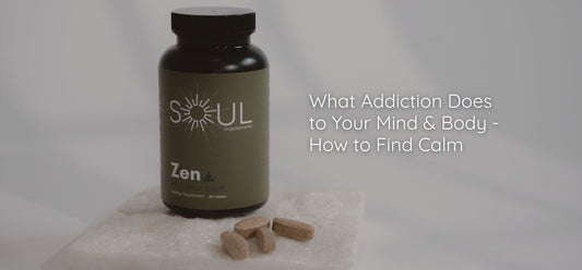 Riding the Storm: What Addiction Does to Your Mind & Body - How to Find Calm